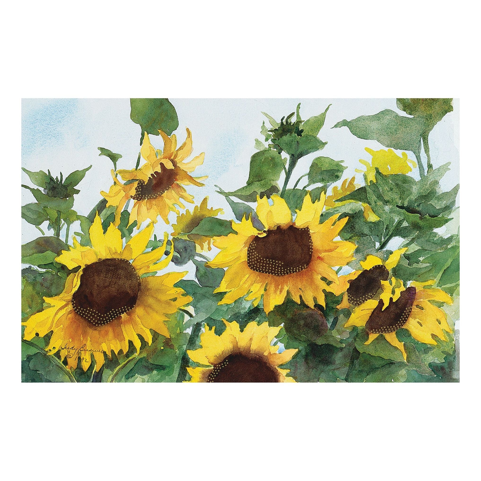 Sunflowers Birthday Card - Cardmore